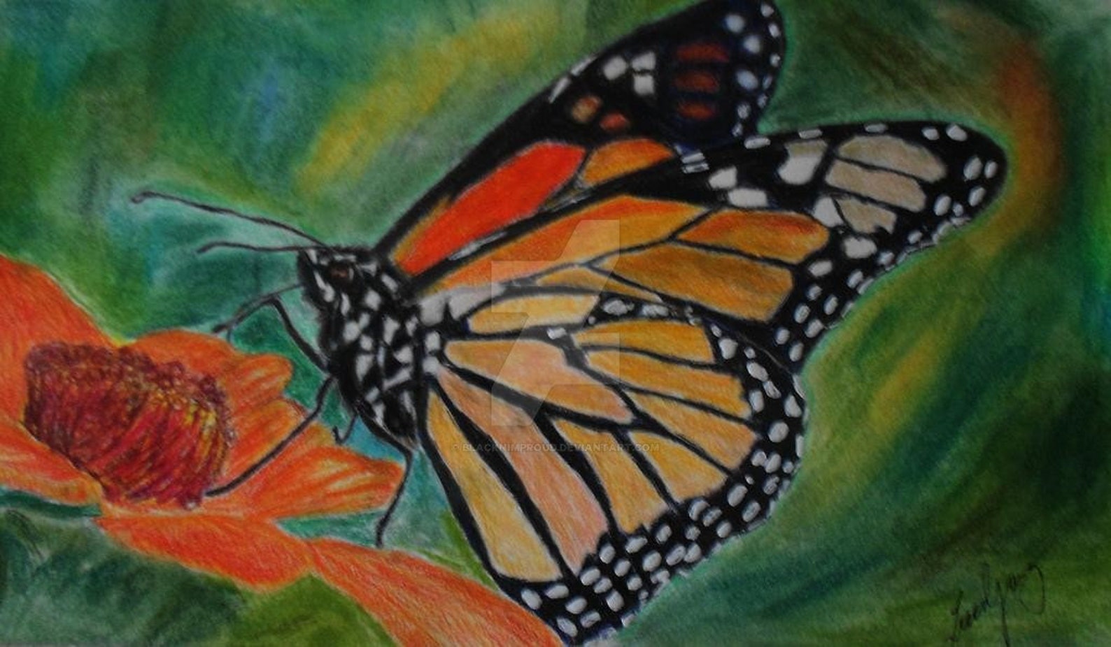 Papillon Crayon de couleur Dessin | Etsy