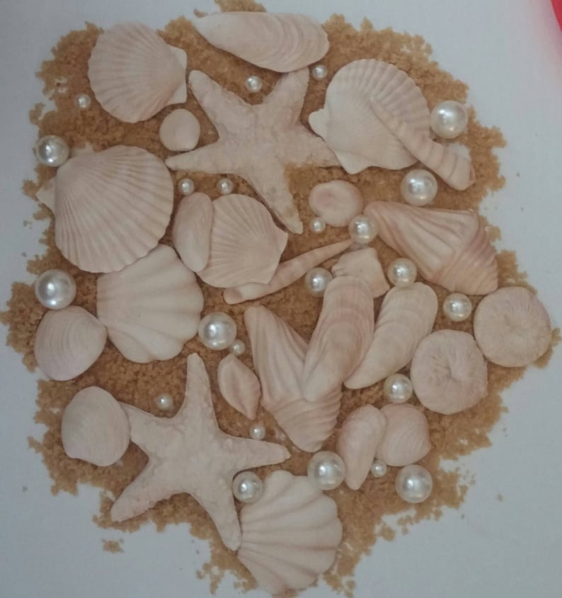 12 Edible SEASHELLS 2 or Less and Various Shapes / Gum Etsy