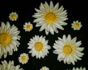 24 Edible DAISY / Variety sizes / gum paste / fondant flowers / sugar flowers / cake or cupcake decorations / cake or cupcake topper