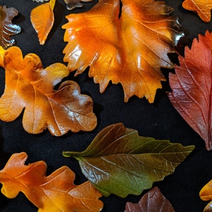 Gum paste fall leaves  2&quot;-3.5&quot; gum paste birch Maple oak leaves / Edible cake decorations / wedding cake / birthday cake /anniversary cake