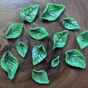 May include: A collection of 13 green felt leaves, each with a unique shape and vein pattern. The leaves are arranged on a wooden surface.