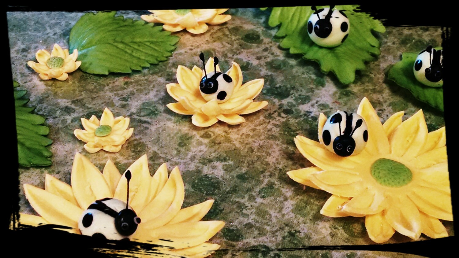 24 Edible DAISY DAISIES Flowers and 12 LADYBUGS / Variety Etsy