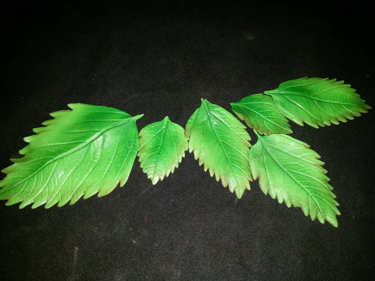 3 Edible ROSES With Green LEAVES / Fall Autumn Colors / Gum Etsy