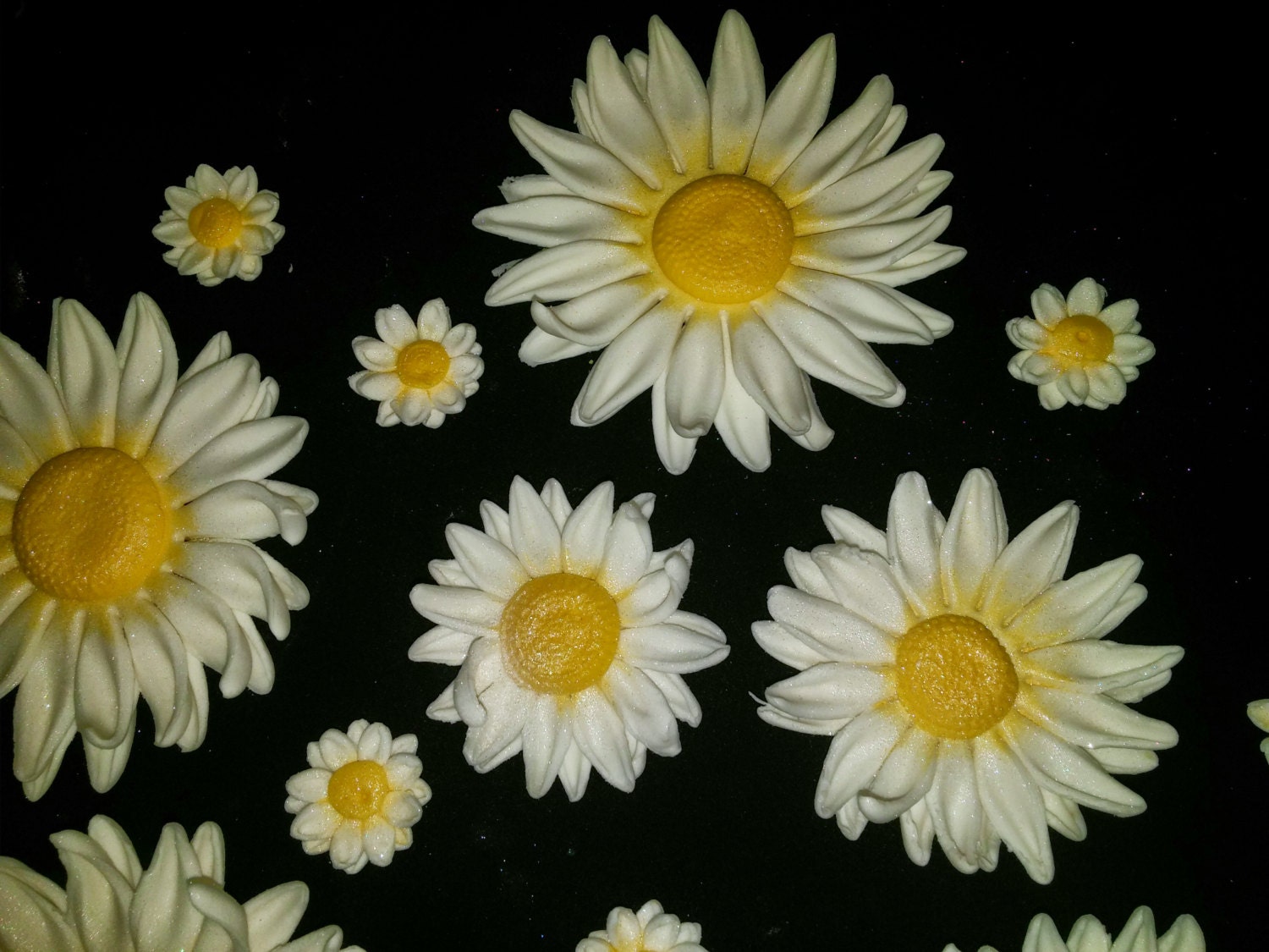 12 Edible DAISY DAISIES / Variety Sizes / Gum Paste / Fondant Etsy