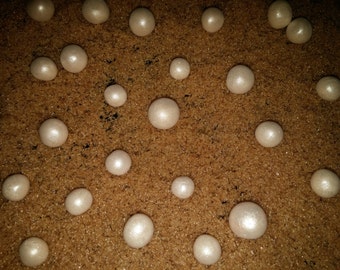 100 Edible fondant PEARLS / gum paste / sugar fondant / cake decorations or cupcake toppers