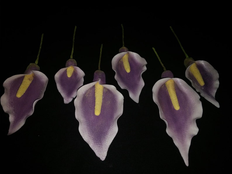 6 Edible Piccaso Gum Paste CALLA Liliescalla Lily / Cake Etsy