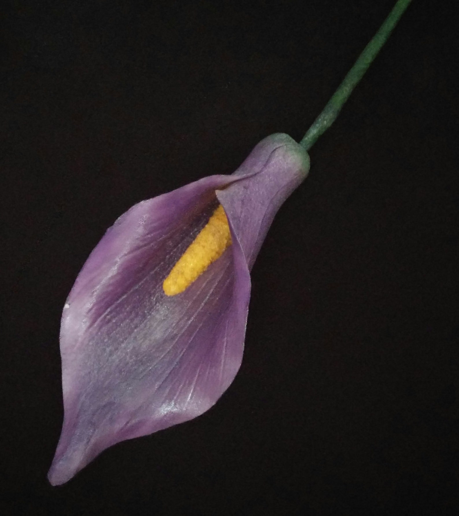 6 Edible Gum Paste Calla Liliescalla Lily / Extra Long Etsy