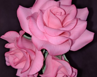 May include: A bouquet of three pink roses with delicate petals. The roses are arranged in a cluster, with the largest rose in the center and the smaller roses surrounding it.