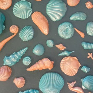 48 Edible SEASHELLS 1.5"/4" Variety sizes and shapes /sugar / gum paste / fondant /cake decorations or cupcake toppers