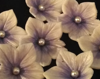 24 Edible BLOSSOM/PETUNIA flowers / any color / Gum Paste / fondant flowers / sugar flowers / cake decorations / cake or cupcake topper