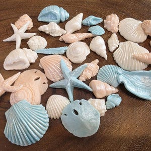 24 Edible SEASHELLS 1" or less and various shapes / gum paste / sugar fondant /cupcake decorations / cupcake toppers