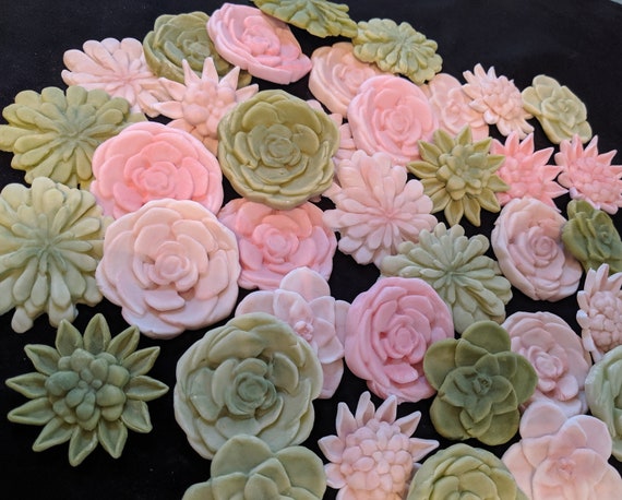 10 2" Edible Succulents / Gum Paste/fondant / Cake Decoration or Cake  Topper /cupcake - Etsy