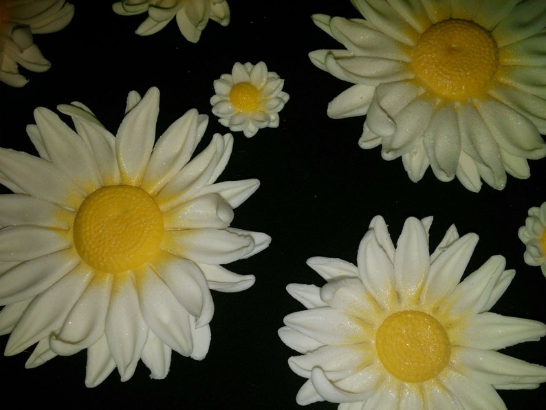 36 Edible DAISY DAISIES / Variety Size Any Color / Gum Etsy