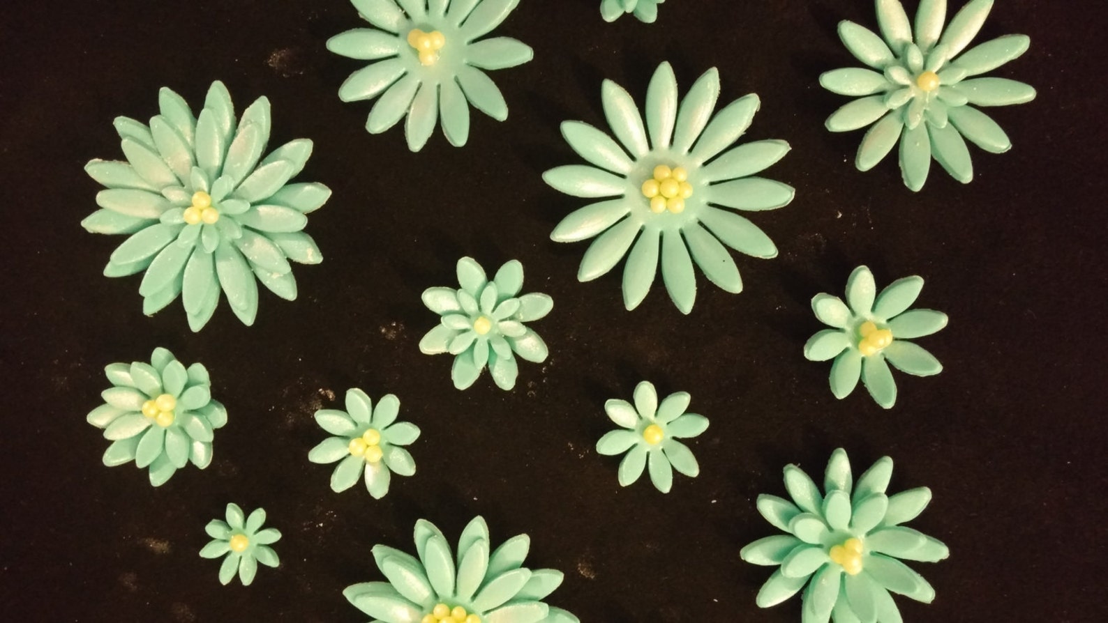 12 Edible DAISIES / Gum Paste / Fondant Flowers / Sugar Etsy