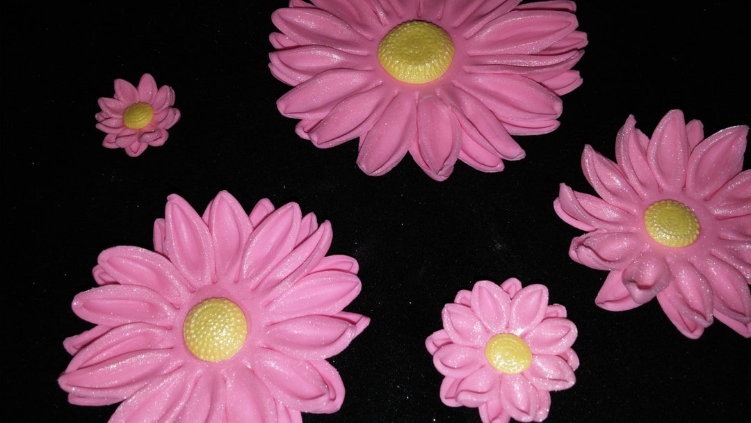 36 Edible DAISY DAISIES / Gum Paste / Variety Size / Fondant Flowers