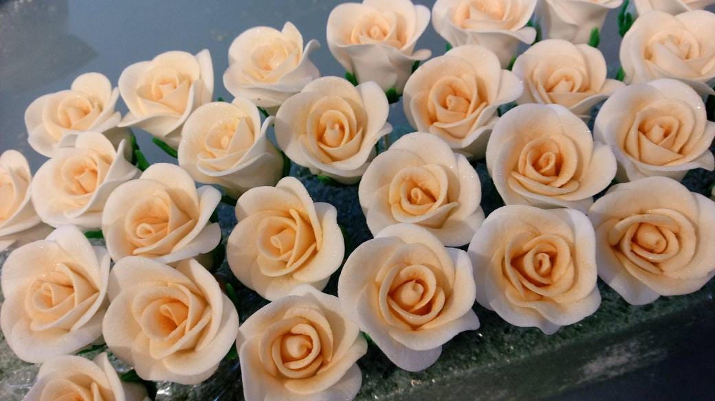 Edible Miniature Damask Rose — ZoZo