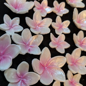 24 - 3 sizes Plumeria Frangipani/ tropical sugar flower / gum paste/fondant / edible flower / cake or cupcake decoration