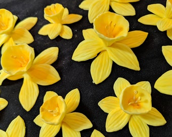 24 Edible daffodil / gum paste / fondant flowers / sugar flowers / cake or cupcake decorations / cake  topper