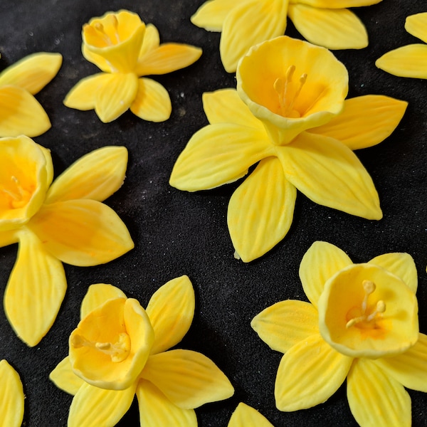 Daffodil Decorations Etsy