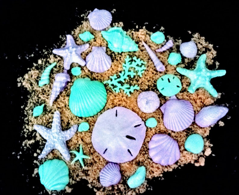 12 Edible SEASHELLS 2" or Less and Various Shapes / Gum Paste / Sugar ...