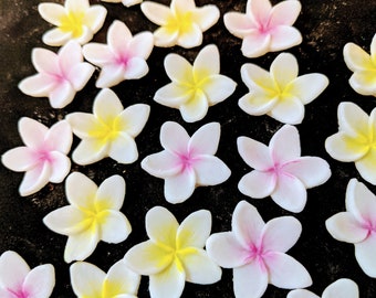 May include: A collection of white and pink sugar flowers with yellow centers. The flowers are arranged on a black surface.