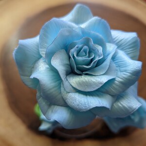 Edible Veined Sky Blue ROSES and Leaves /gum Paste/ Any Color/sugar ...