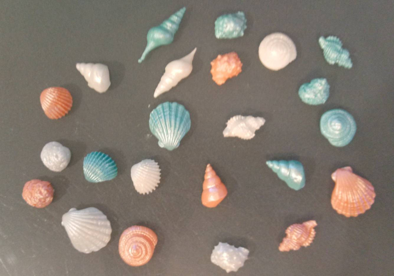 24 Edible SEASHELLS 1 or less and various shapes / gum Etsy
