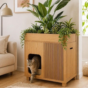 May include: A light oak wooden cat litter box enclosure featuring a slatted door design and a square entrance. The top surface functions as a planter box filled with various green leafy plants. A tabby cat is stepping out of the square opening.