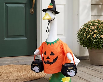 23 Inch Goose Ghost Costume, Pumpkin Hat, Halloween Porch Decor