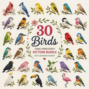 Pode incluir: Uma coleção de 30 desenhos de pássaros bordados dispostos em torno do texto 30 Birds HAND EMBROIDERY PATTERN BUNDLE EASY & BEGINNER FRIENDLY. Os pássaros coloridos estão representados pousados em galhos em vários tons de vermelho, azul, amarelo e verde.