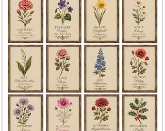 May include: A set of twelve rectangular wall art prints featuring botanical illustrations of birth flowers for each month, from January to December, with corresponding names and symbolic meanings printed in black text on a beige background.