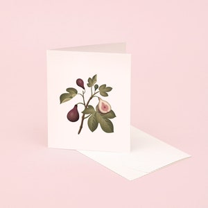 Carte de voeux parfumée figue, carte d'illustration botanique figue, carte de parfum figue