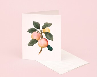 Plum Fruit Scented Greeting Card, Summer Plum Scented Greeting Card, Botanical Illustration