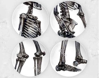Skeleton choose a part 10" Plates, Thermosaf