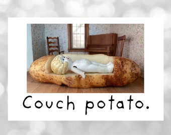 Couch Potato Funny Adventures of Claudia Magnet