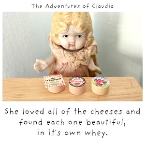 A ella le encantaron todos los quesos y encontró cada uno hermoso en su propio suero Tarjeta de felicitación con queso