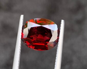 Spinello rosso naturale