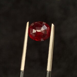 May include: A deep red, oval-cut gemstone with multiple facets reflecting light, held securely between the serrated metal tips of a pair of tweezers. The stone displays a rich, saturated crimson hue and a polished, reflective surface throughout.
