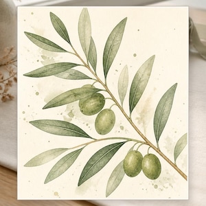 Pode incluir: Uma impressão de arte quadrada com uma ilustração em aguarela de um ramo de oliveira com folhas verdes e quatro azeitonas verdes redondas. O ramo está sobre um fundo creme com salpicos de tinta verde subtis e lavagens suaves.