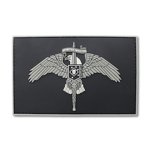 Op de afbeelding: Een rechthoekige zwarte patch met een grijze adelaar met gespreide vleugels, die een verticaal zwaard vasthoudt. Een banier boven de adelaar bevat de tekst SPIRITUS INVICTUS. Een centraal schild op de adelaar toont een schedel en sterren.