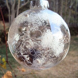 May include: A clear glass Christmas ornament filled with dried twigs and frosted with white accents. The ornament hangs from a brown string, with a silver metal cap. The background is blurred, showing trees and foliage.