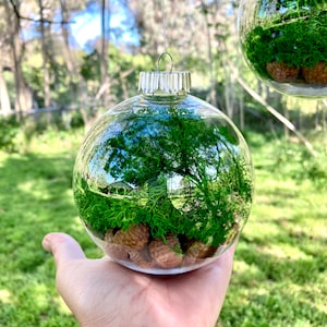 Woodland Wedding Decoration - Emerald Moss Ornament - Forest Backdrop Decor - Hanging Mossy Ball - Fairy Nature Orb - Green Bauble Terrarium