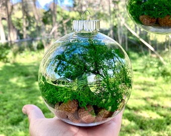 Woodland Wedding Decoration - Emerald Moss Ornament - Forest Backdrop Decor - Hanging Mossy Ball - Fairy Nature Orb - Green Bauble Terrarium
