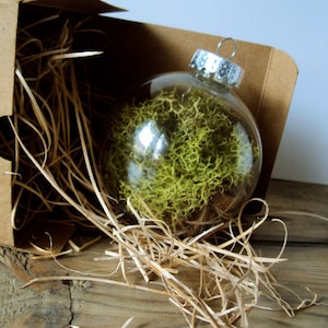 Woodland Moss Ornament - Forest Wedding Decorations - Rustic Christmas Bauble - Hanging Moss Ball - Fairy Flora Orb - Nature Terrarium Decor