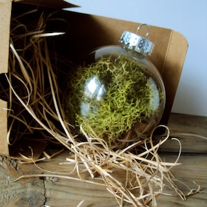 Woodland Moss Ornament Forest Wedding Decorations Rustic Christmas Bauble Hanging Moss Ball Fairy Flora Orb Nature Terrarium Decor image 1