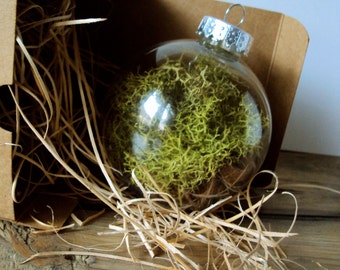 Woodland Moss Ornament - Forest Wedding Decorations - Rustic Christmas Bauble - Hanging Moss Ball - Fairy Flora Orb - Nature Terrarium Decor