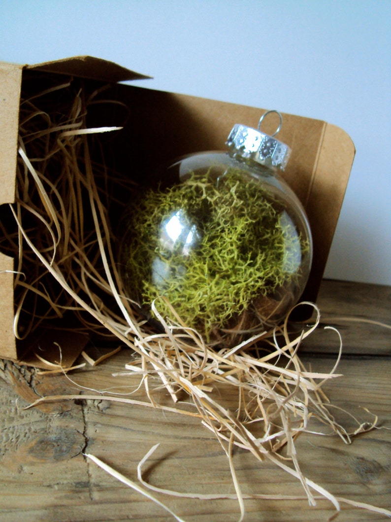 Woodland Moss Ornament Forest Wedding Decorations Rustic Christmas Bauble Hanging Moss Ball Fairy Flora Orb Nature Terrarium Decor image 1