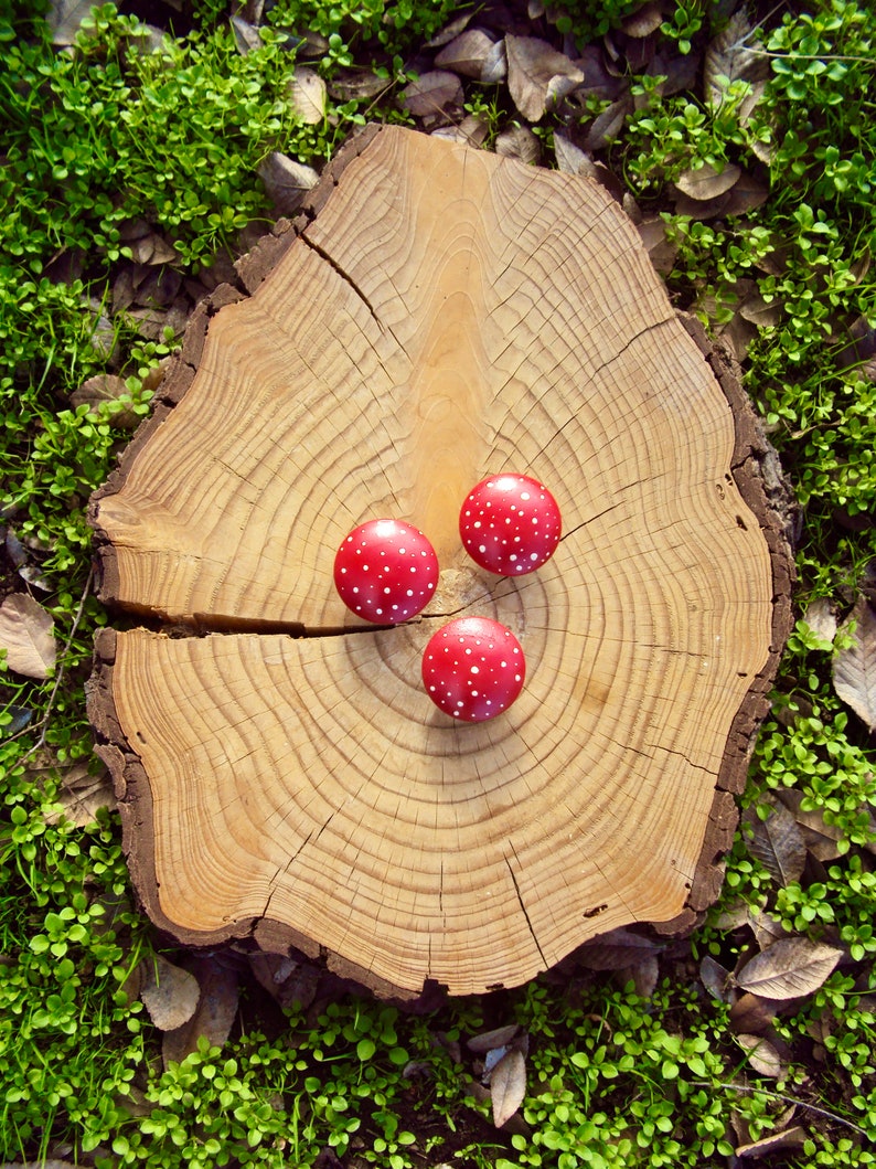 Hand Painted Mushroom Furniture Knobs Wooden Dresser Drawer Knob Decorative Fairy Door Knob Wood Polka Dot Cupboard Knob 1 3/4 Knob image 5