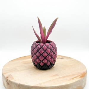 May include: A small, textured planter shaped like a pineapple with a dark pink and black finish. The planter features a repeating diamond pattern across its surface and contains a small plant with upright, pointed, purple and green leaves.
