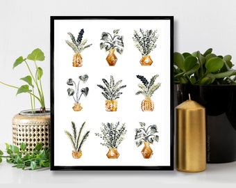 Op de afbeelding: Een zwart ingelijst print met een witte achtergrond met negen illustraties van potplanten in verschillende tinten groen en bruin. De planten zijn in een rasterpatroon gerangschikt.